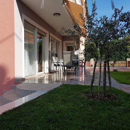 Ferienhaus Bucic บูเย ภายนอก รูปภาพ